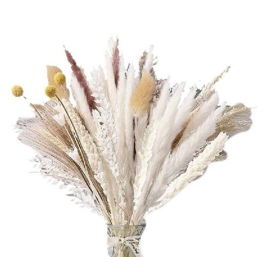 100Pcs Dried Flowers 10 Kinds Pampas Grass 17.32 Inch