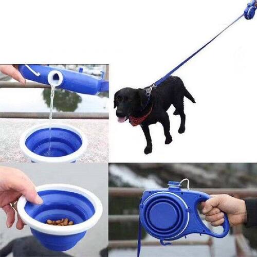 Retractable Dog Leash Pet Dog Walking Leash Leads For Small