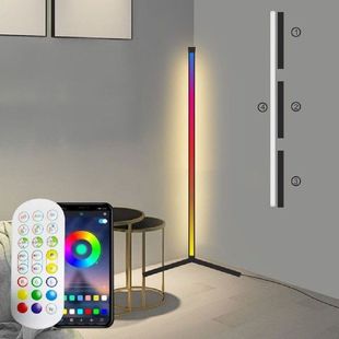 Led Floor Lamp RGB Color Changing Lighting Corner Lamp With