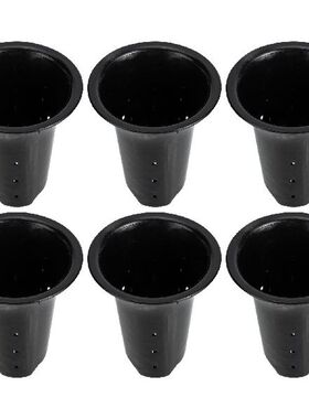 Pots Planter Pot Flower With Orchid Indoor Cactus Succulent