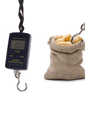 40KG 10g Scale Hanging Hook Travel Luggage Weight scale Bala