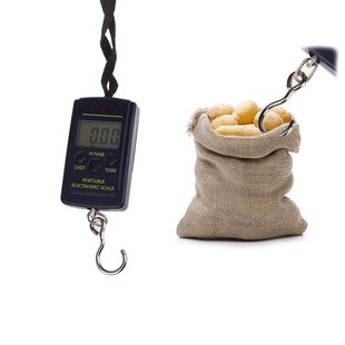 40KG 10g Scale Hanging Hook Travel Luggage Weight scale Bala