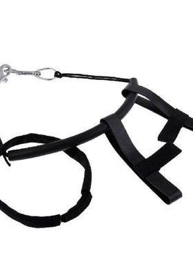 Scuba Bottle Rig Set with 2 Stainless Steel Clips, Tether