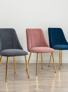 Scandinavia Dining Chair Nordic Minimalist Home Furniture