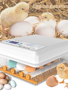 Chicken Automatic Eggs Incubator Bird Quail Brooder Full