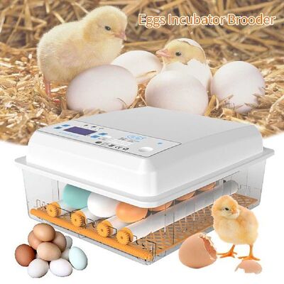 Chicken Automatic Eggs Incubator Bird Quail Brooder Full