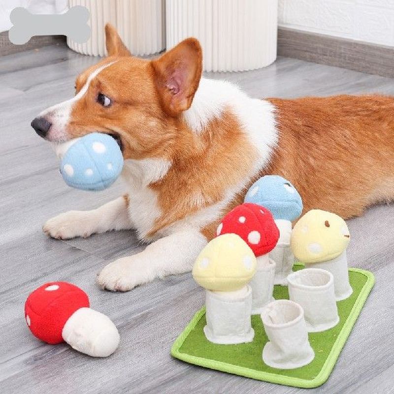 pet sniffing mat interactive squeaky pet leak food training