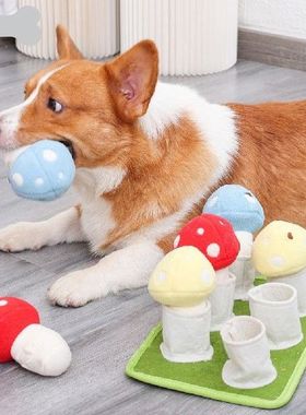 Pet Sniffing Mat Interactive Squeaky Pet Leak Food Training