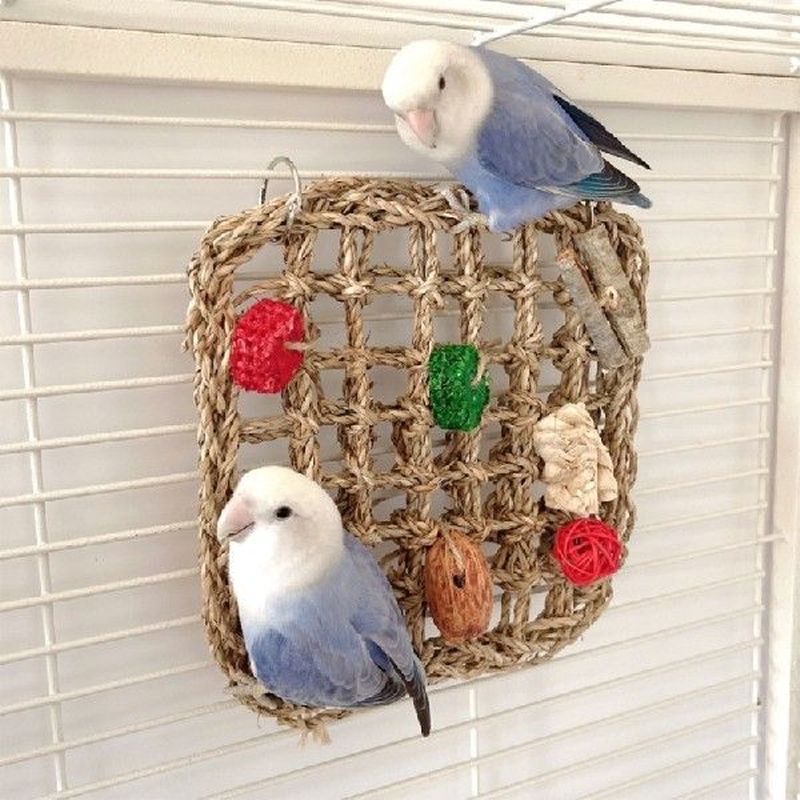 Bird Rope Climbing Net Parrot Swing Foraging Activity Wall
