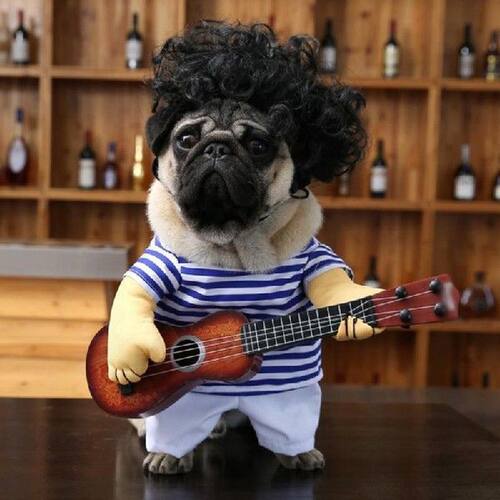 Funny Guitar Pet Dog Clothes Costume Fancy Dress Up Party