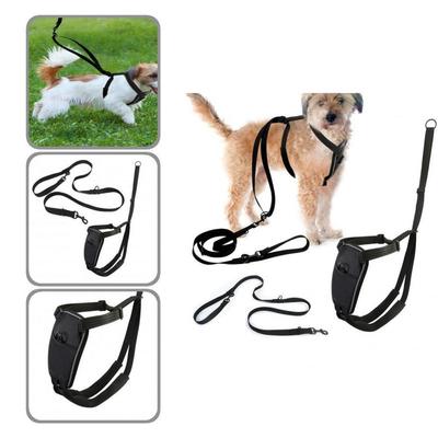 Adjustable Buckles Pet Accessories Pet Outdoor Vest Harness