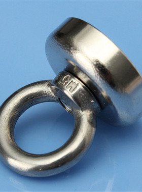 N52 Neodymium Iron Boron Magnet With Circular Rings For Salv