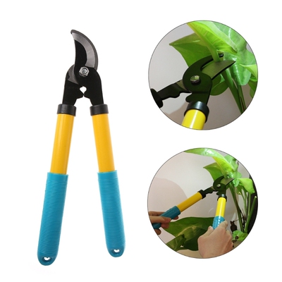 Thick Branches Pruning Shears Fruit Tree Pruning Scissors La
