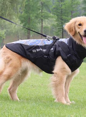 Autumn And Winter Pet Cats And Dogs Outdoor Outing Hiking