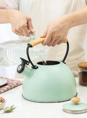 3L Outdoor Kettles Camping Whistle Kettle Stainless Steel