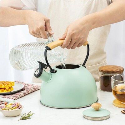 3L Outdoor Kettles Camping Whistle Kettle Stainless Steel