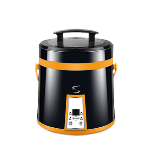 Mini Rice Cooker Electric Heating Lunch box Stew Soup Noodle