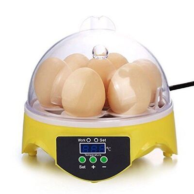 Mini 7 Egg Incubator Poultry Incubator Brooder Digital