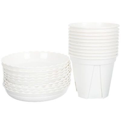 Pot Plant Pots Flower Nursery Decorative Planter Cactus