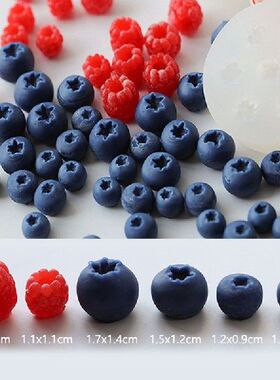 Blueberry Raspberry Wild Simulation Fruit Silicone Mold