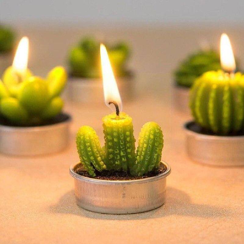 6pcs plant decor candle succulents 3d cactus birthday