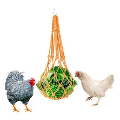Chicken Vegetable Hanging Feeder Toy for Hens Pet Birds