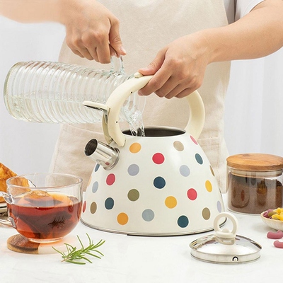 Hot 3L Stainless Steel Whistling Tea Kettle Teapot with