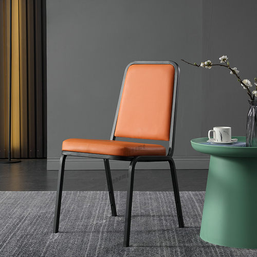 Nordic Dining Chair for The Kitchen Luxury Dining Chairs