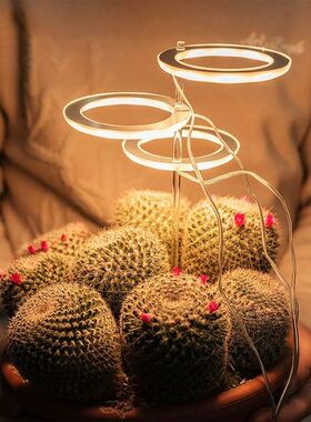 Angel Three Ring Grow Light DC5V USB Phytolamp For Plants