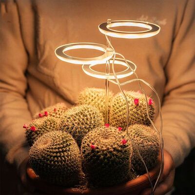 Angel Three Ring Grow Light DC5V USB Phytolamp For Plants