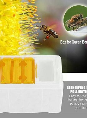 Queen Bee Rearing Mating Beehive Beekeeping Tools Foam