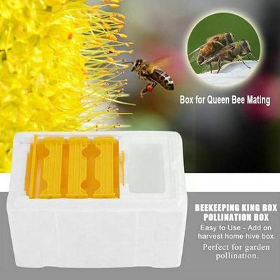 Queen Bee Rearing Mating Beehive Beekeeping Tools Foam