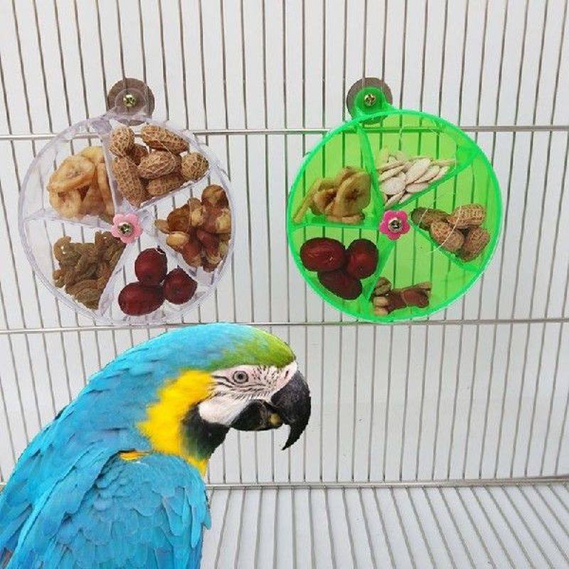 new parrot foraging wheel rotate gnawed bird toys bite