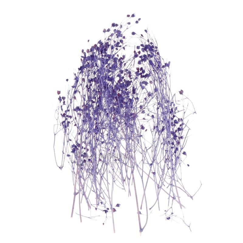 1 Box Filling Flower Dry Handmade Flowers DIY Epoxy Resin Fi