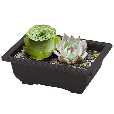 Hot Training Pot Humidification Tray-Built-in Mesh 6-Inch
