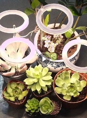 LED Grow Light Full Spectrum Phyto Grow Lamp USB Phytolamp