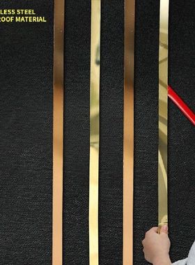 5 Meter Stainless Steel Flat Decorative Lines Black