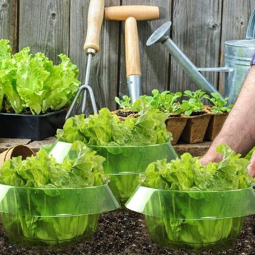 Snail Defense Protective Ring Vegetable Protector Plant