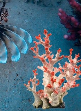 Aquarium Coral Ornaments DIY Fish Tank Decoration