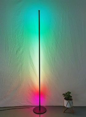 1.2M Modern Floor Light RGB Colorful LED Corner Remote