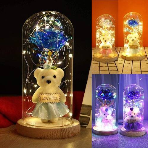 Valentine's Day present for girlfriend Rose and Bear Nig