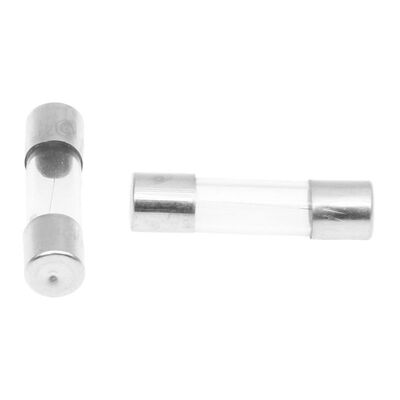 250V 1A 5mmx20mm Fast Blow Type Glass Tube Fuses 100 Pcs