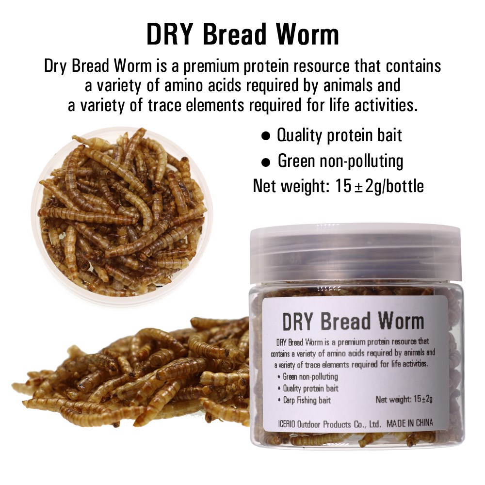 1BottleDryBreadW