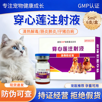 猫狗宠物呕吐宝穿心莲注射液止吐 宠物犬猫呕吐止呕细小病毒猫瘟