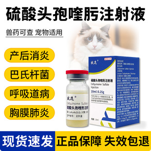 硫酸头孢喹肟注射液宠物猫狗呼吸道病牛羊猪产后消炎药胸膜肺炎药
