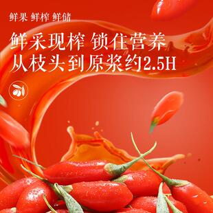 三祇产松鼠_枸/沙棘原浆宁夏杞特SFJ养生饮品榨浆原汁健送康礼