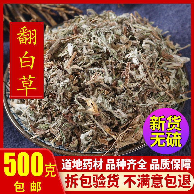 药材新货翻白草500g包邮正品番白草茶可配地骨皮绞股蓝苦丁茶