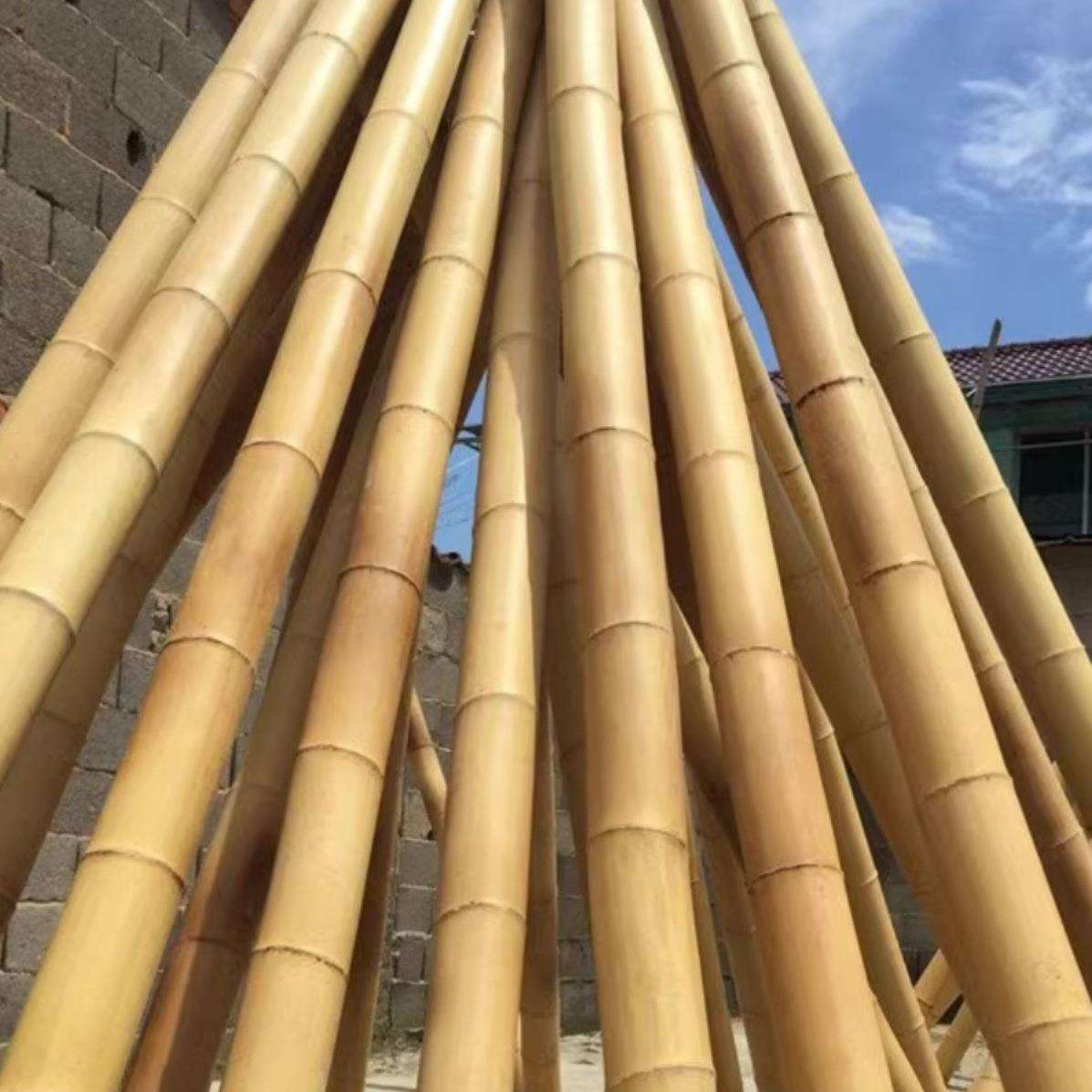 防腐竹子装修竹竿装饰竹杆室内吊顶白竹搭架毛竹楠竹户外庭院竹子