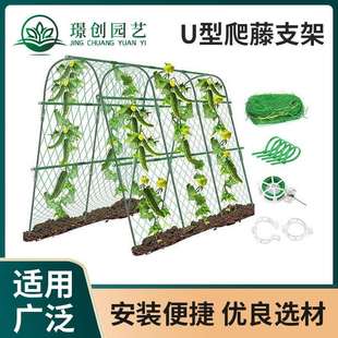 园艺拱形弯管竹竿子搭架菜园温室大棚暖房爬藤支架遮阳U型支架