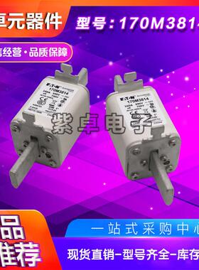 170M3814170M3815170M3816170M3817170M3818170M3819熔断器